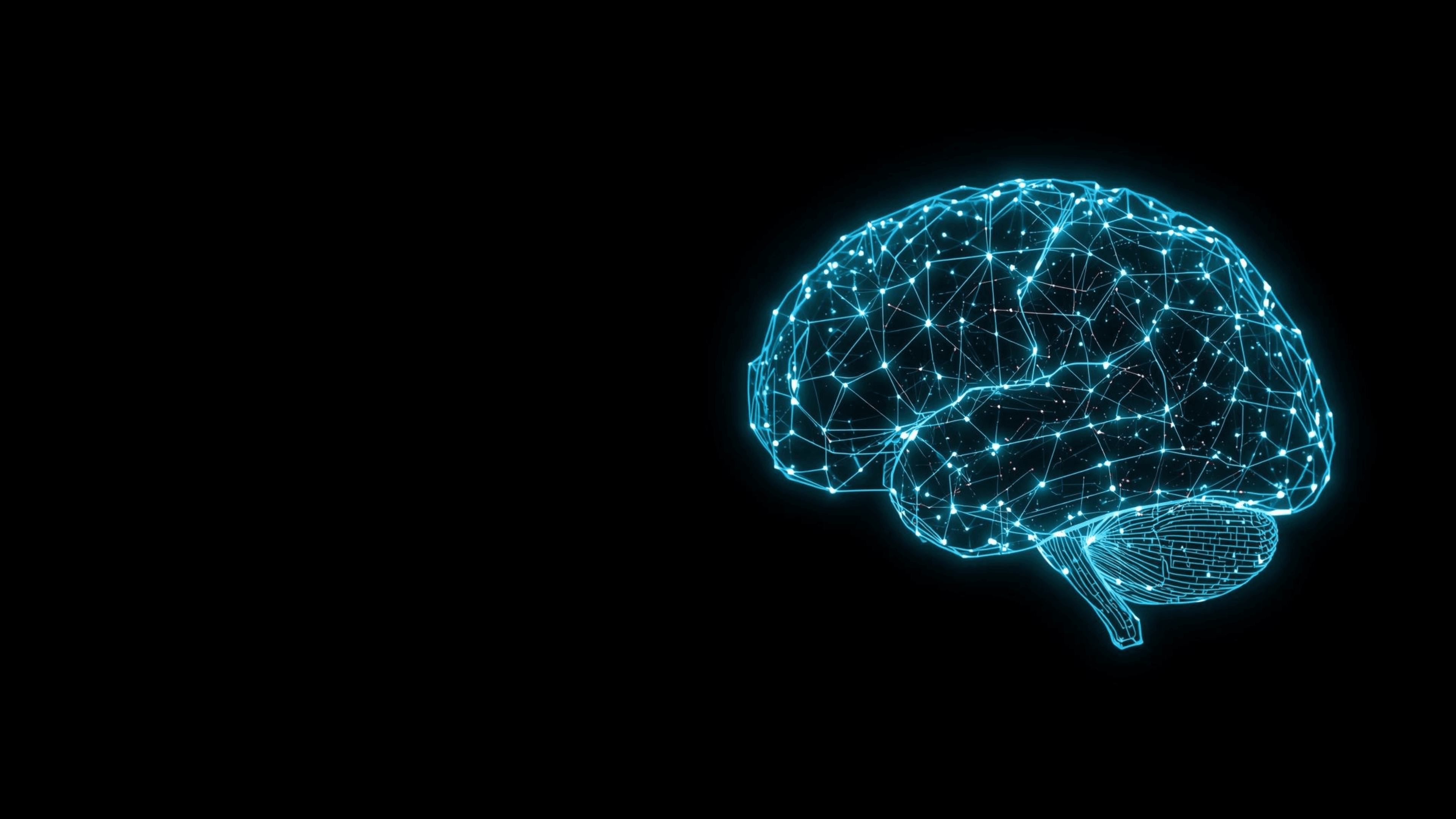 Custom Foundation Model for Biomedical Research